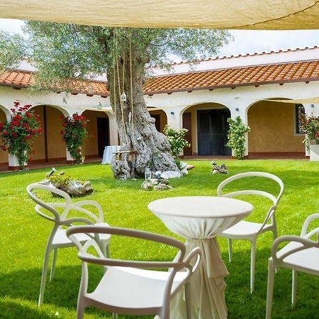 Tenuta Amalthea Villa Sessa Aurunca Dış mekan fotoğraf