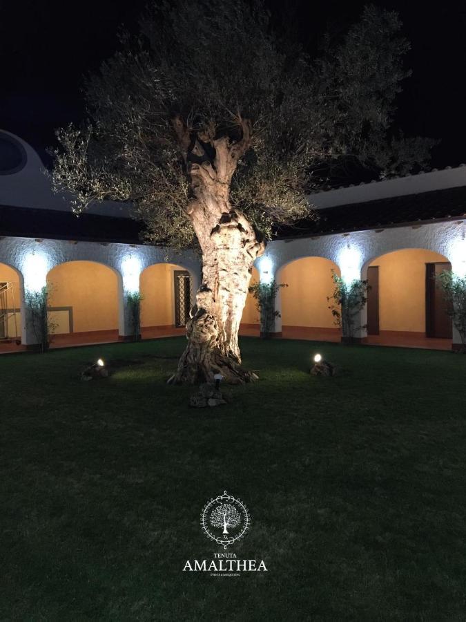 Tenuta Amalthea Villa Sessa Aurunca Dış mekan fotoğraf