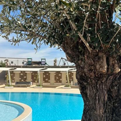 Tenuta Amalthea Villa Sessa Aurunca Dış mekan fotoğraf